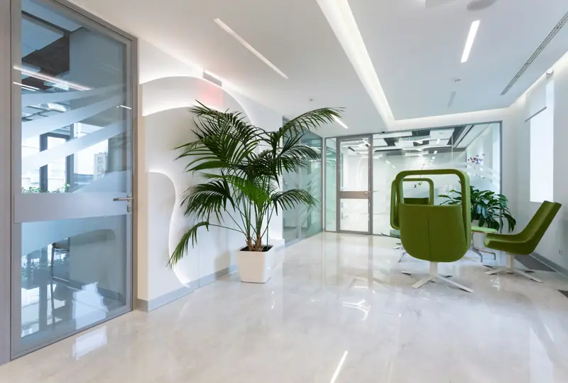 Helles Büro mit Glaswänden, Pflanze und grünen Sesseln